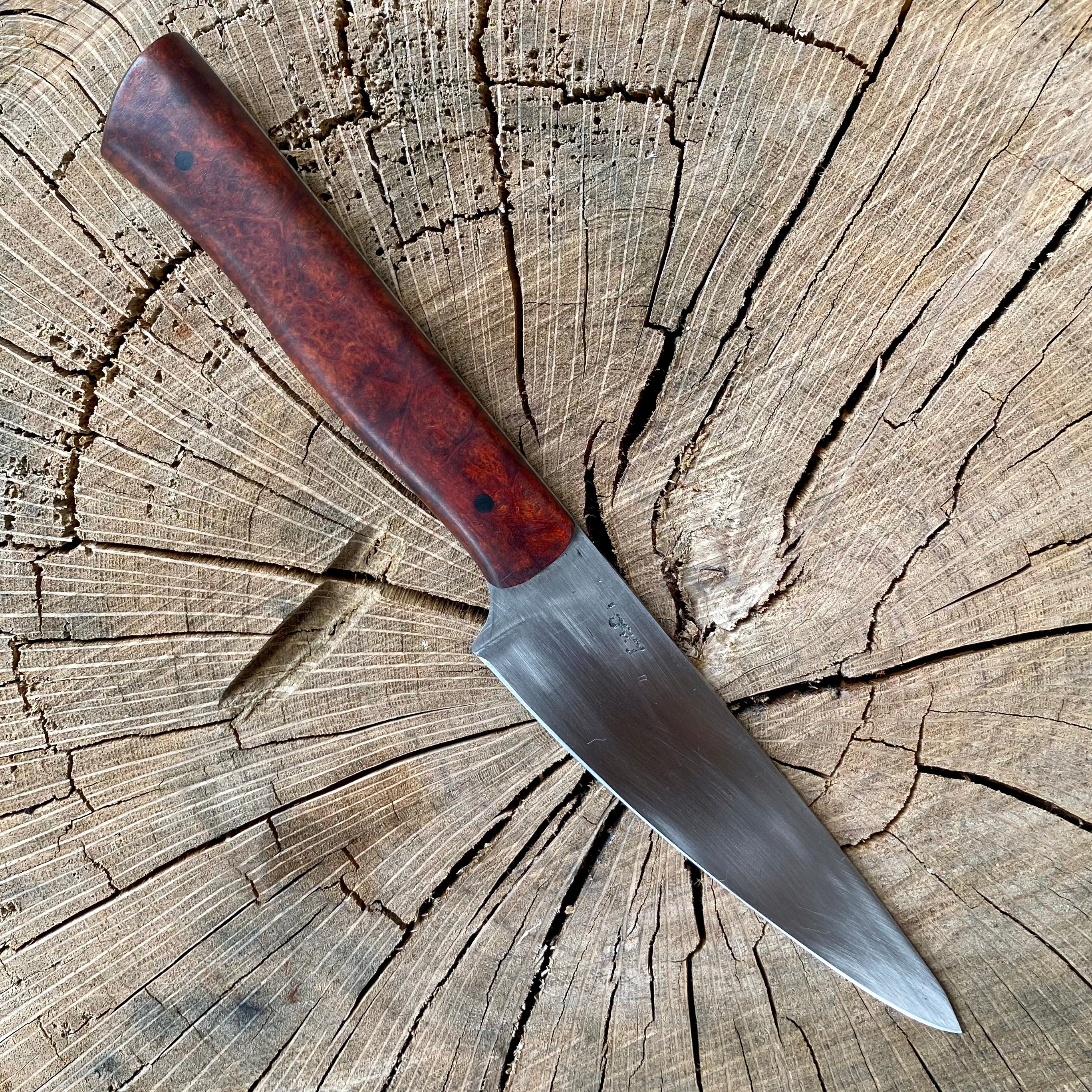 Savannah Paring Knife Combo Kit - DIY Blade w/Bloodwood Scales
