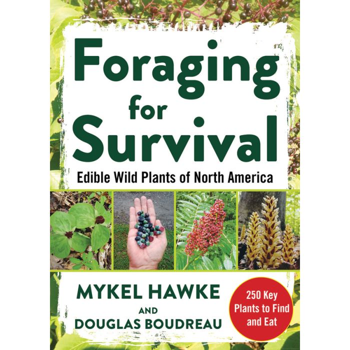 Foraging for Survival