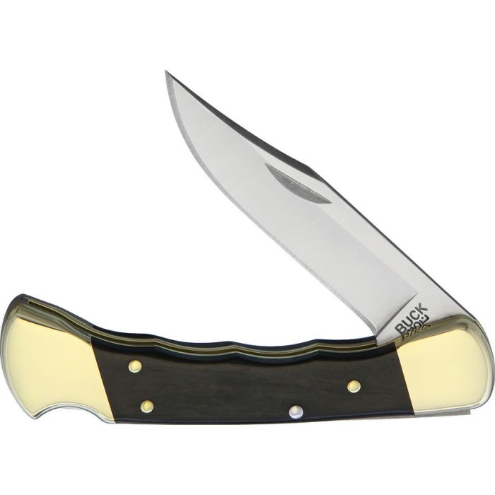 Buck Model 110 Hunter Lockback 420HC