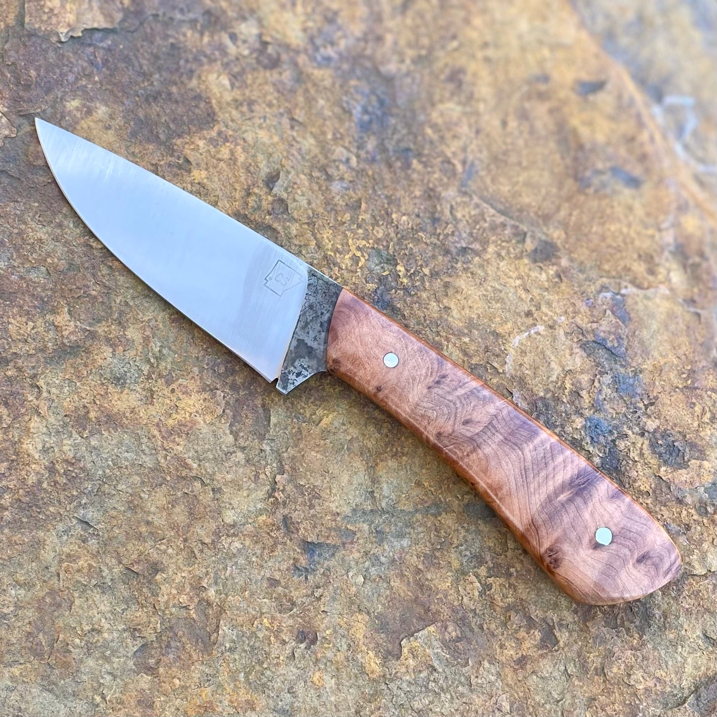 Hunter in 1080 w/ Thuya Burl