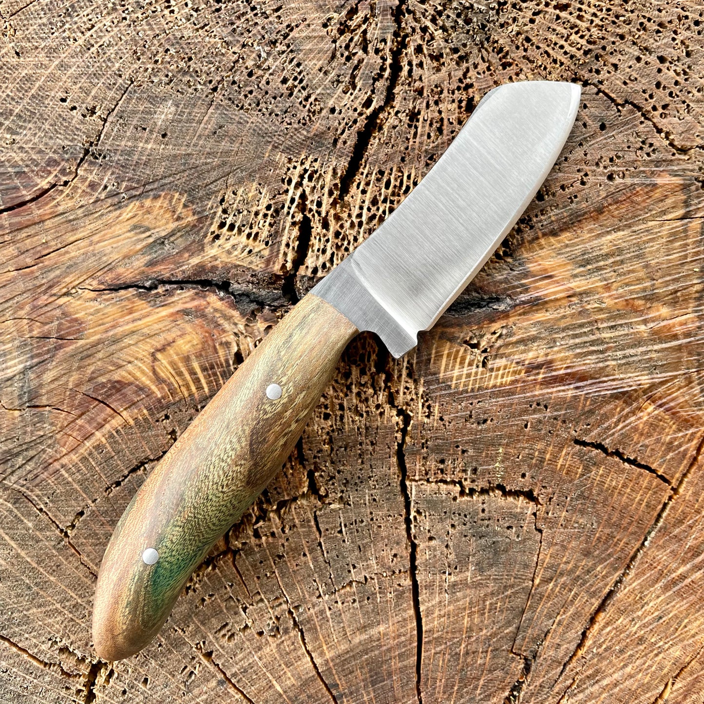 Skinner in 1095 w/ Dyed Sycamore