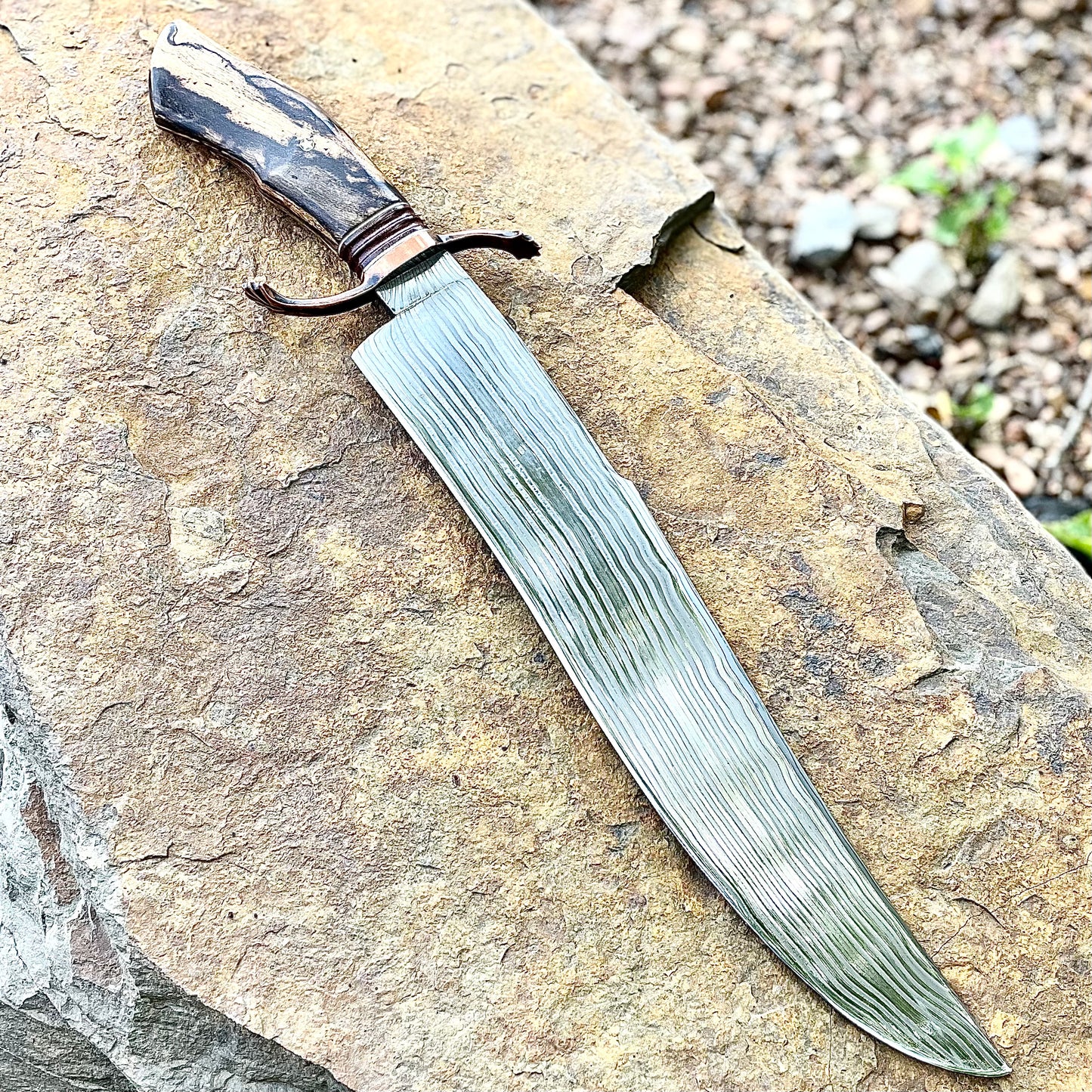 Damascus Bowie w/ Spalted Hackberry