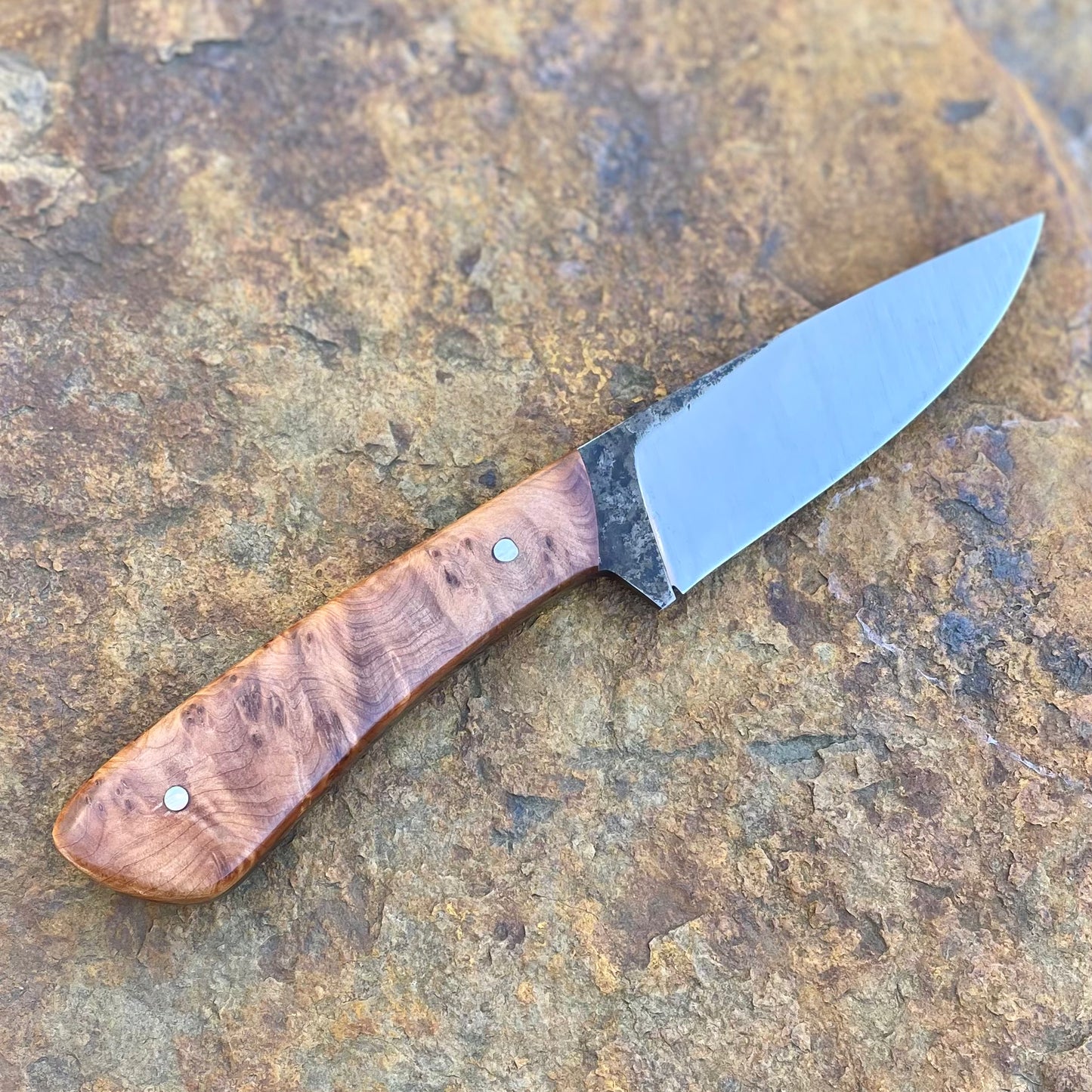 Hunter in 1080 w/ Thuya Burl