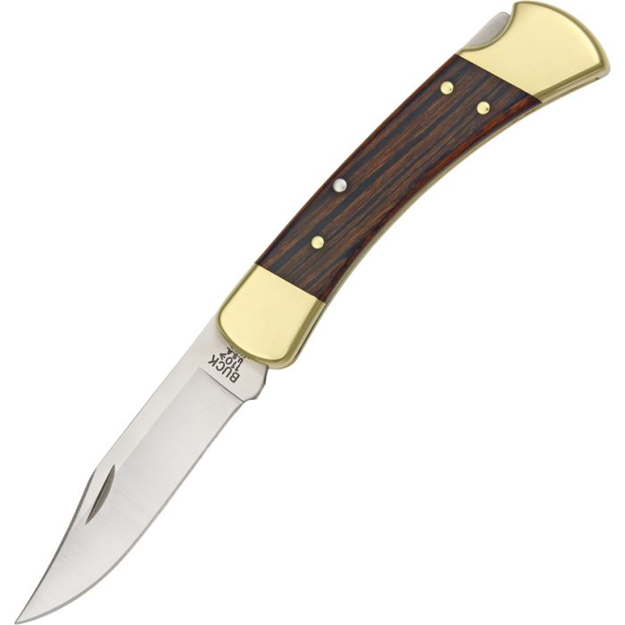 Buck Model 110 Hunter Lockback